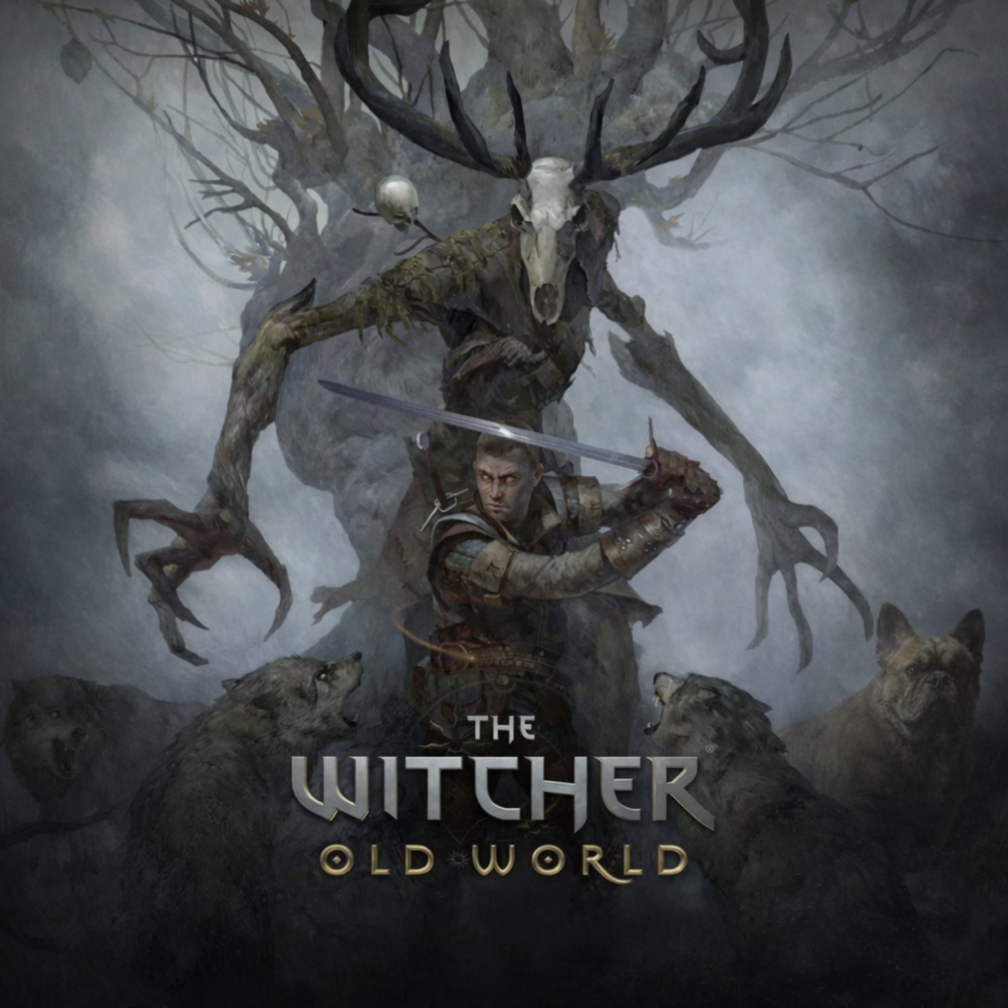 Wiedźmin Stary Świat